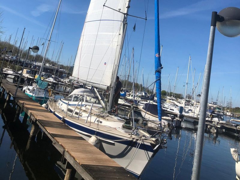 Hallberg-Rassy 36 MKII, Zeiljacht for sale by Jachtwerf Oostwatering Veere B.V.