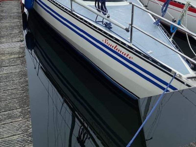Sailboat 825, Zeiljacht for sale by Jachtwerf Oostwatering Veere B.V.