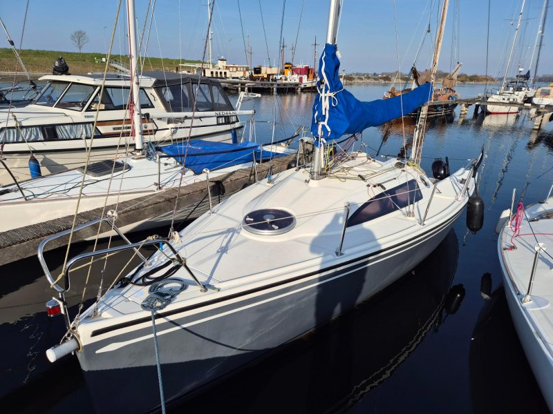 Sailboat Skippi 750, Zeiljacht for sale by Jachtwerf Oostwatering Veere B.V.