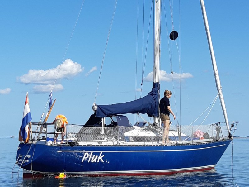 Standfast 33, Zeiljacht for sale by Jachtwerf Oostwatering Veere B.V.