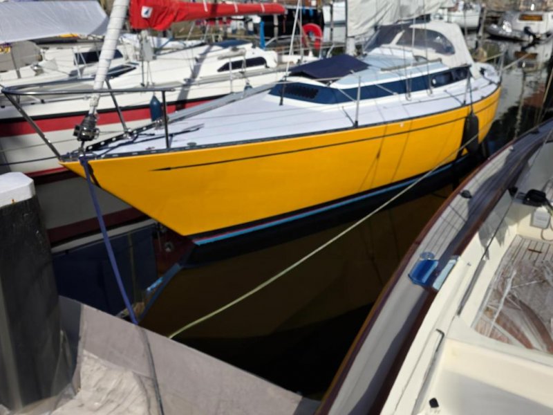Standfast Loper, Zeiljacht for sale by Jachtwerf Oostwatering Veere B.V.