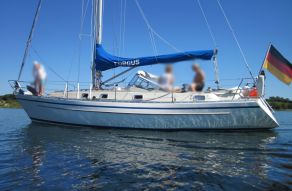FORGUS 36