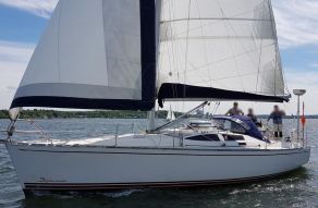 Delphia 40