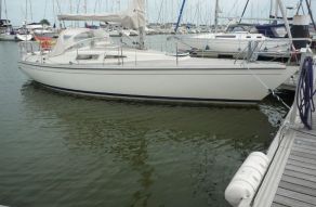 Hatecke Hornet 33