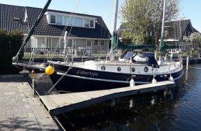 Danish Rose 31