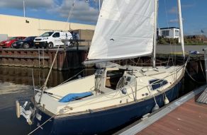Solus 24