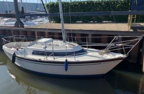Hurley 24