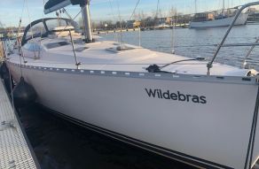 Delphia 40.3