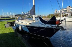 Freedom 38