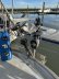 Blauwasseryacht Kalb 55
