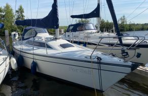 Dehler 31