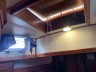 Shearwater 39