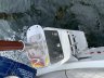 Shearwater 39