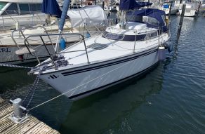 Prospect 900