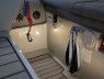 Williams Sportjet 395 - Pearl