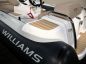 Williams Turbojet 325