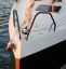 BENTE 24