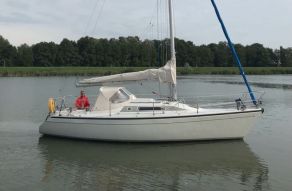 Dehler 31
