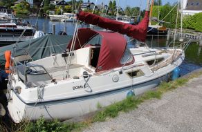 Rethana 25