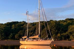 Perry 44