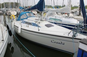 Dehler 31