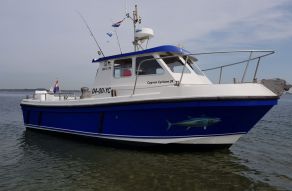 Cygnus Cyclone