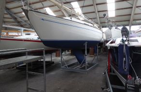 Spirit 28