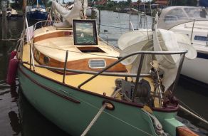 Moerman 29