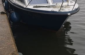 Alpha Polaris 25