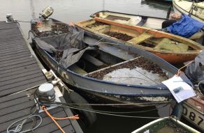 Grachtenboot Vlet