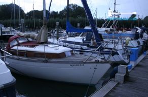 Sirus 24