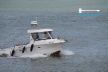 Quicksilver Pilothouse