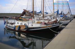 Platbodem Dordtse Hoogaars