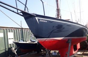 Wibo 750