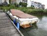Sea Ray RRV 190