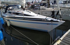 Buccaneer 295
