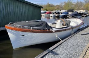 Silverfish DVZ-H33