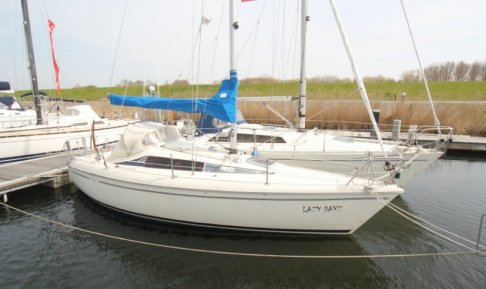 Maxi FENIX, Sailing Yacht for sale by Schepenkring Lelystad