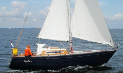 Stringer 915, Zeiljacht for sale by Schepenkring Lelystad