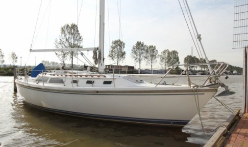 CATALINA 34, Sailing Yacht for sale by Schepenkring Lelystad