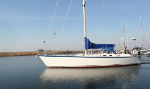 BARON 135, Zeiljacht for sale by Schepenkring Lelystad