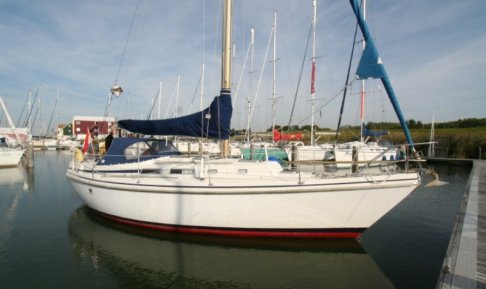 Contest 34, Segelyacht for sale by Schepenkring Lelystad