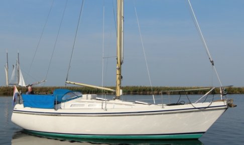 Contest 31, Zeiljacht for sale by Schepenkring Lelystad