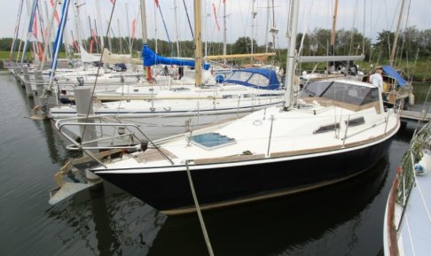 VAN  DE STADT 34, Zeiljacht for sale by Schepenkring Lelystad