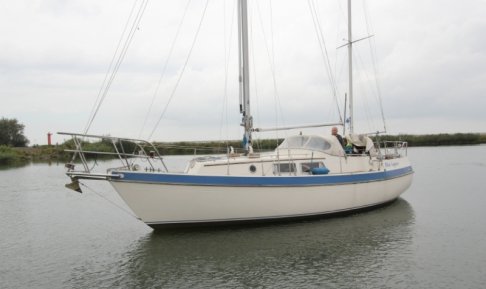 Compass 31, Zeiljacht for sale by Schepenkring Lelystad