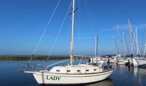 Island Packet 350, Zeiljacht for sale by Schepenkring Lelystad