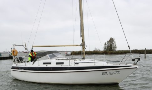 Neptun 32, Zeiljacht for sale by Schepenkring Lelystad