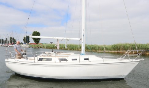 Catalina 30 MK II, Zeiljacht for sale by Schepenkring Lelystad