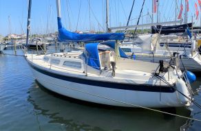Hurley 800