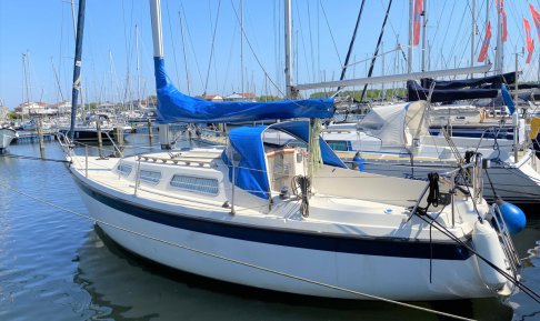 Hurley 800, Zeiljacht for sale by Schepenkring Lelystad